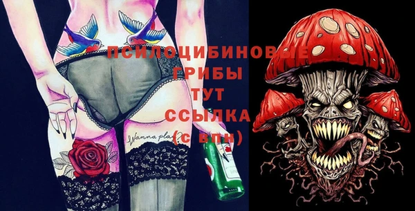 PSILOCYBIN Белоозёрский