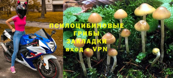 экстази Белокуриха