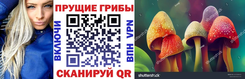 Псилоцибиновые грибы ЛСД  OMG зеркало  Каневская 
