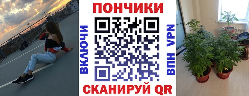 Каннабис семена как найти закладки Каневская